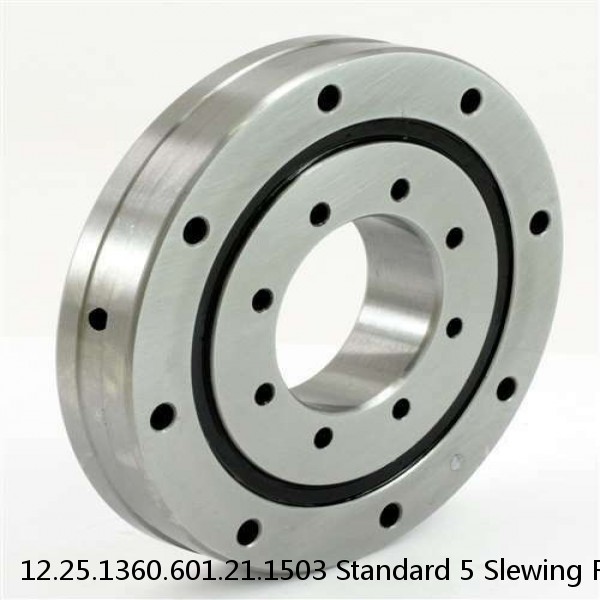 12.25.1360.601.21.1503 Standard 5 Slewing Ring Bearings #1 image