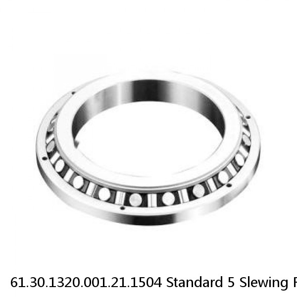 61.30.1320.001.21.1504 Standard 5 Slewing Ring Bearings #1 image