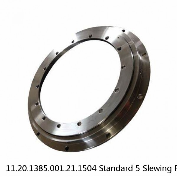 11.20.1385.001.21.1504 Standard 5 Slewing Ring Bearings #1 image