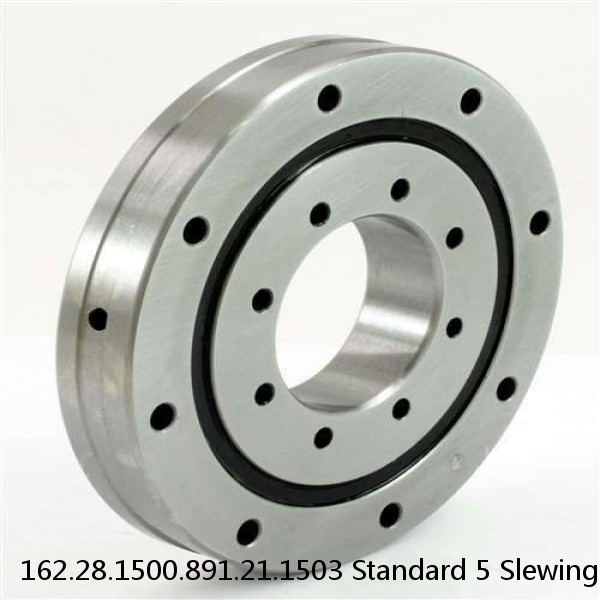 162.28.1500.891.21.1503 Standard 5 Slewing Ring Bearings #1 image