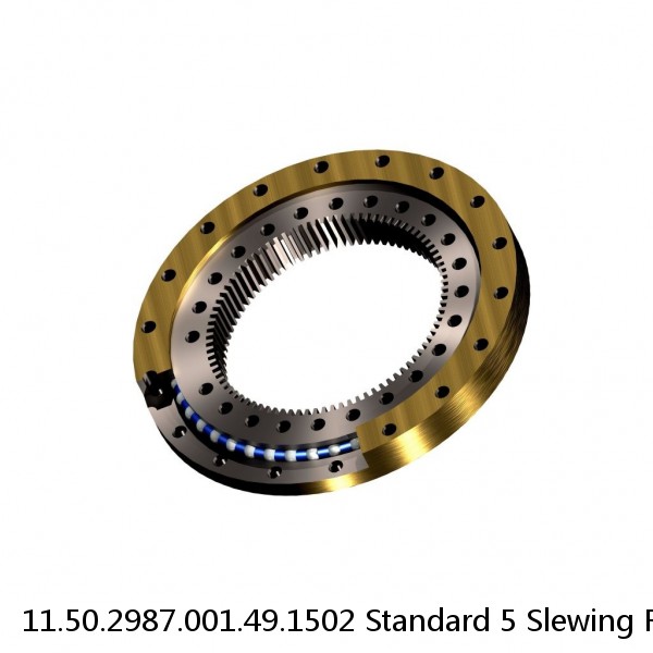 11.50.2987.001.49.1502 Standard 5 Slewing Ring Bearings #1 image