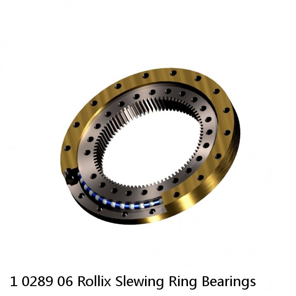 1 0289 06 Rollix Slewing Ring Bearings #1 image