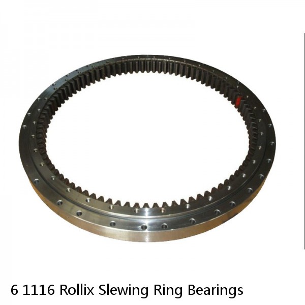 6 1116 Rollix Slewing Ring Bearings #1 image